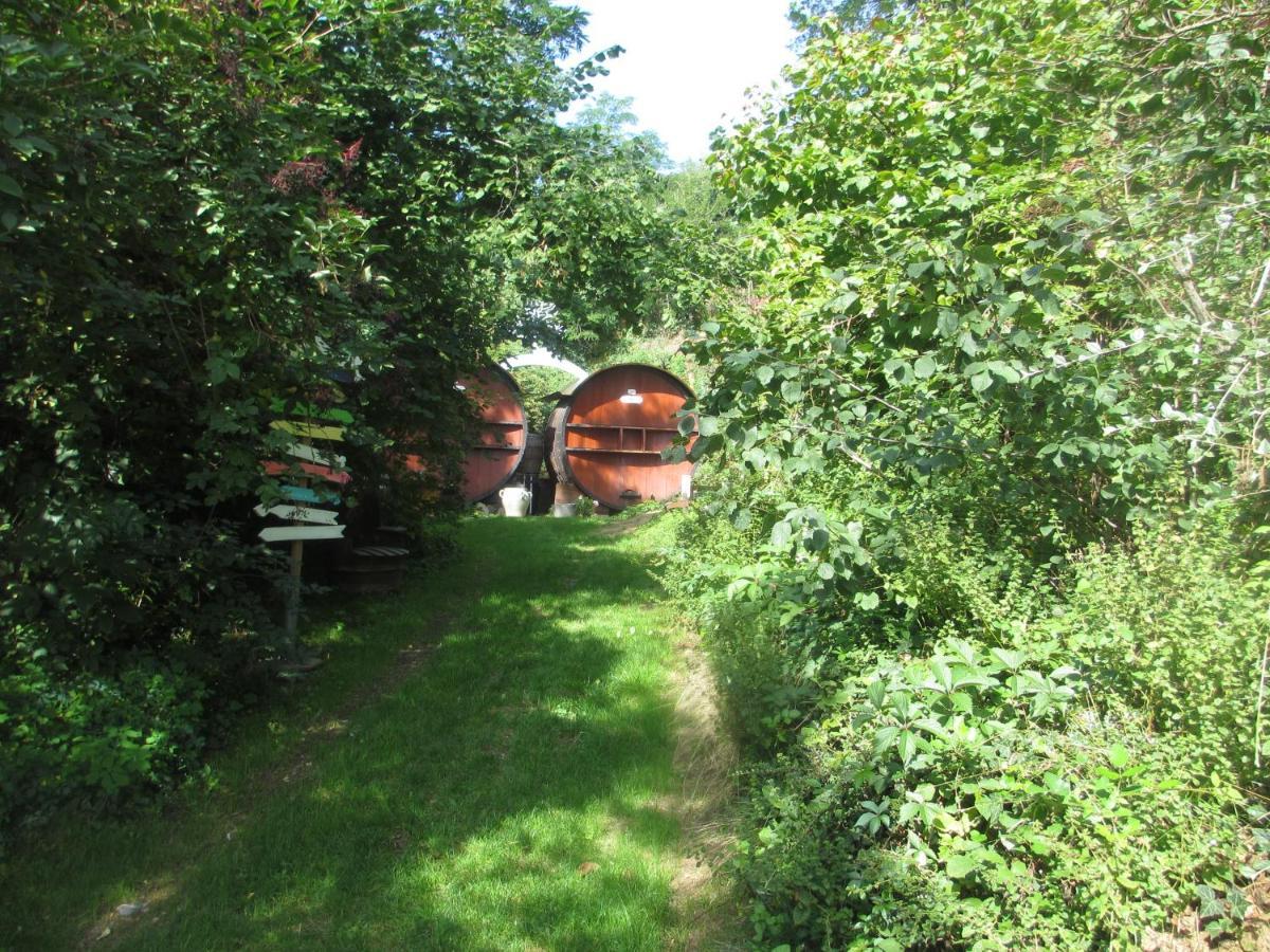 Foudres Du Chene Du Py Bed and Breakfast Villié-Morgon Exterior foto